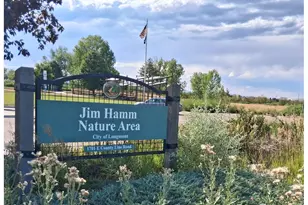 804 Summer Hawk Dr, Longmont, CO 80504 - Photo 25