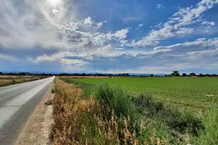 804 Summer Hawk Dr, Longmont, CO 80504 - Photo 23