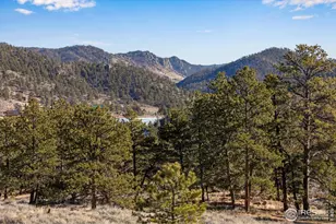 434 Caddo Rd, Red Feather Lakes, CO 80545 - Photo 43