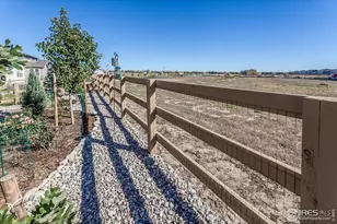 951 Rustling St, Windsor, CO 80550 - Photo 35