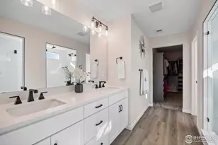 951 Rustling St, Windsor, CO 80550 - Photo 19