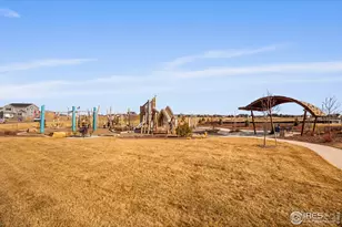 951 Rustling St, Windsor, CO 80550 - Photo 47