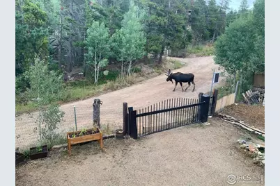 5 Rudi Ln W, Golden, CO 80403 - Photo 47