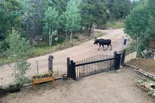 5 Rudi Ln W, Golden, CO 80403 - Photo 47