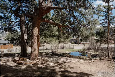 1026 Lexington Ln, Estes Park, CO 80517 - Photo 45