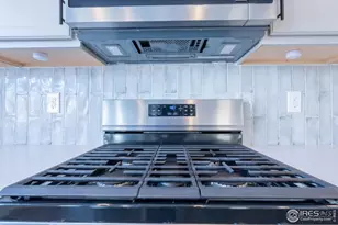 199 Simmental Loop, Castle Rock, CO 80104 - Photo 13