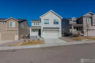 199 Simmental Loop, Castle Rock, CO 80104 - Photo 45