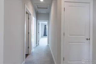 199 Simmental Loop, Castle Rock, CO 80104 - Photo 27