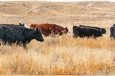 29899 County Road 88, Ault, CO 80610 - Photo 9