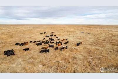 29899 County Road 88, Ault, CO 80610 - Photo 47