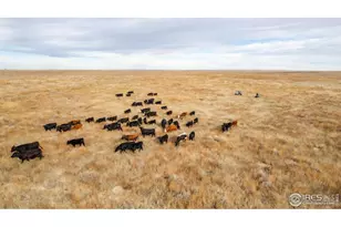 29899 Co Rd 88, Ault, CO 80610 - Photo 47