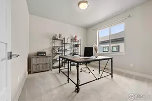 7880 Cherry Blossom Dr, Windsor, CO 80550 - Photo 27