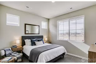 617 Noola St, Windsor, CO 80550 - Photo 21