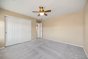 1555 Benfleet Ct, Windsor, CO 80550 - Photo 27