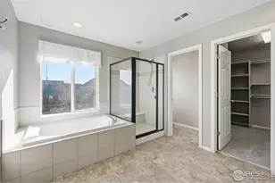 1555 Benfleet Ct, Windsor, CO 80550 - Photo 19