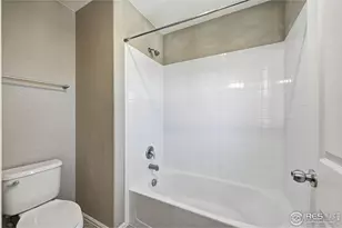 1555 Benfleet Ct, Windsor, CO 80550 - Photo 29