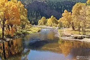 921 Abbott Ln, Fort Collins, CO 80524 - Photo 29