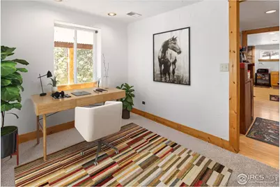 246 Rudi Ln W, Golden, CO 80403 - Photo 27