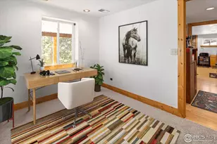 246 Rudi Ln W, Golden, CO 80403 - Photo 27