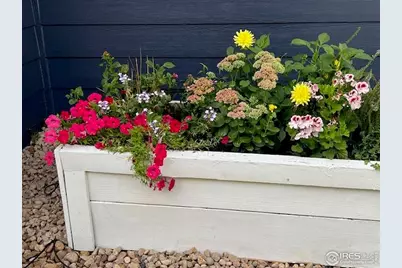 519 Cheyenne Dr, Lafayette, CO 80026 - Photo 41