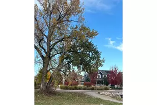 519 Cheyenne Dr, Lafayette, CO 80026 - Photo 3