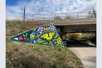 519 Cheyenne Dr, Lafayette, CO 80026 - Photo 43