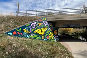 519 Cheyenne Dr, Lafayette, CO 80026 - Photo 43