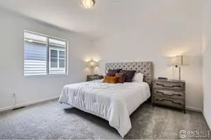 611 Noola St, Windsor, CO 80550 - Photo 9