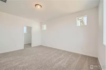 656 Noola St, Windsor, CO 80550 - Photo 13