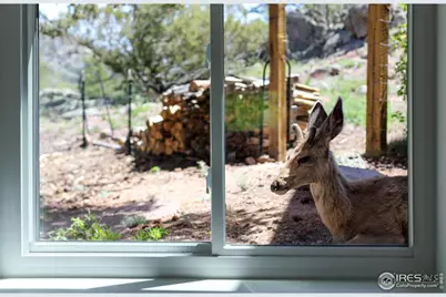 187 Wichita Rd, Lyons, CO 80540 - Photo 27