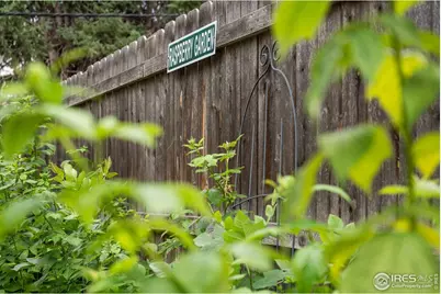 820 6th St, Boulder, CO 80302 - Photo 29