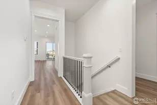 1631 Poplar Dr, Erie, CO 80516 - Photo 19