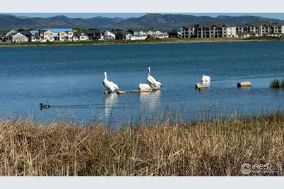 4195 N Park Dr, Loveland, CO 80538 - Photo 37