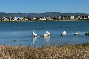 4195 N Park Dr, Loveland, CO 80538 - Photo 37