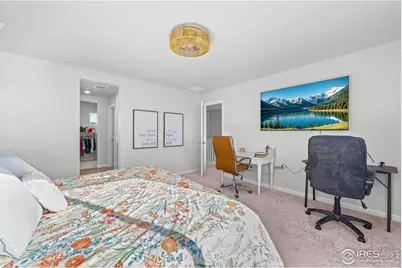 837 Hummocky Way, Windsor, CO 80550 - Photo 21