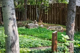3945 Promontory Ct, Boulder, CO 80304 - Photo 7