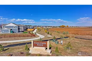 5968 Holstein Dr, Windsor, CO 80528 - Photo 21