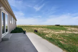 39771 Co Rd 80, Briggsdale, CO 80611 - Photo 25