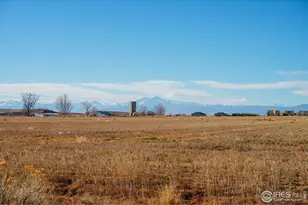 946 Tail Water Dr, Windsor, CO 80550 - Photo 37