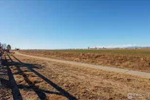 946 Tail Water Dr, Windsor, CO 80550 - Photo 29