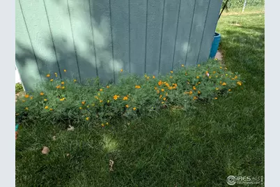 2720 Alan St, Fort Collins, CO 80524 - Photo 37