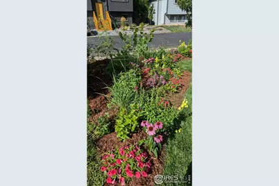 2720 Alan St, Fort Collins, CO 80524 - Photo 35