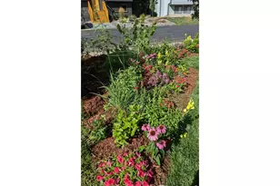 2720 Alan St, Fort Collins, CO 80524 - Photo 35