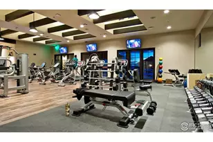 4268 Ardglass Ln, Timnath, CO 80547 - Photo 35