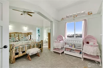 79 Windom Ct, Livermore, CO 80536 - Photo 19