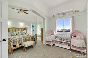 79 Windom Ct, Livermore, CO 80536 - Photo 19