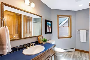 530 Linden View Dr, Fort Collins, CO 80524 - Photo 41