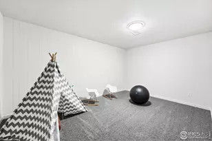 149 Sunflower Dr, Windsor, CO 80550 - Photo 21