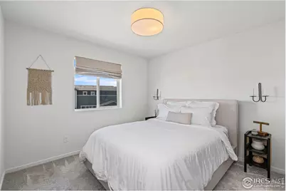 5082 Brule Dr, Timnath, CO 80547 - Photo 21