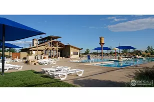 6546 Royal Country Down Dr, Windsor, CO 80550 - Photo 37